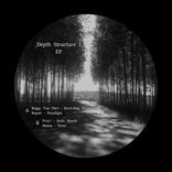 Artwork voor "Depth Structure I"
