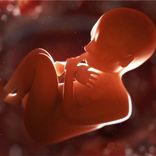 Womb Sound For Baby Pt.2