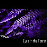 Artwork for "Eyes in the Forest"
