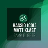 Artwork for "Sample Life"