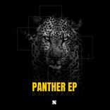 Artwork voor "Panther EP"