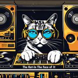 Artwork for "In the face of it"