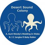Artwork for "Aunt Wendy's Wedding In Wales"