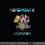 Artwork for "Levitation (Atmosphere Remix)"