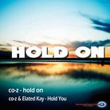 Artwork for "Hold On"