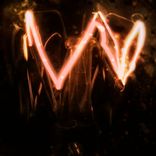 Portada para "Chakal"