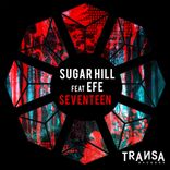 Artwork for "Seventeen"