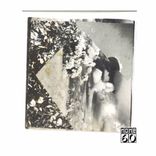 Portada para "Woodlands / Lost End"