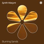 Portada para "Burning Sands"