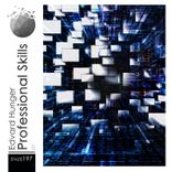 Portada para "Professional Skills"