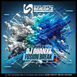 Artwork voor "Fusion Break"