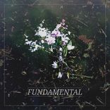 Artwork for "Fundamental"