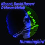 Artwork für "Hummingbird"