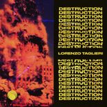 Artwork voor "Destruction"