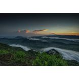 Artwork voor "Homosexual"