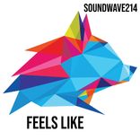 Artwork for "Feels Like"