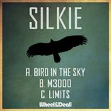 Artwork for "Bird In The Sky"