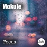 Artwork for "Focus"