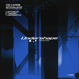 Artwork voor "Opticallis"