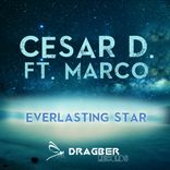 Artwork voor "Everlasting Star"