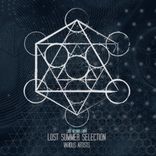Portada para "Lost Summer Selection"