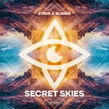 Artwork for "Secret Skies"