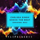 Artwork for "Shock the Beat (extended mix)"