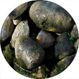 Artwork for "Flatline"