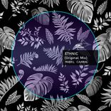 Portada para "Ethnic"