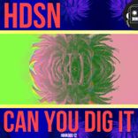 Can You Dig It (Manu Noeth Remix)