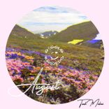 Artwork für "August"