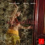 Portada para "African Salsa"