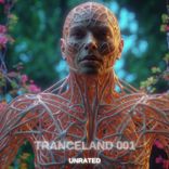 A Memory from Last Night