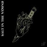 Artwork for "Salt In The Wound"
