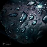 Artwork for "IWANA 05"