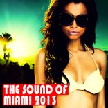 Portada para "The Sound Of Miami 2013"
