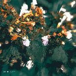 Artwork voor "Diving Solo"