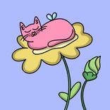 Portada para "Feather"