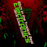 Artwork voor "Bitch in the Tropical Beat"