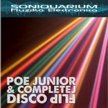 Artwork voor "Disco Flip"