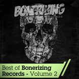 Artwork for "Best Of Bonerizing Records - Vol 2"