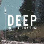Portada para "Deep In The Rhythm, Vol. 12"