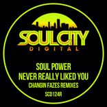 Never Really Liked You