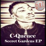 Artwork for "Secret Gardens EP"