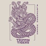 Artwork für "Labyrinth of Confusion"