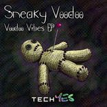Artwork for "Voodoo Vibes"