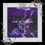 Artwork voor "Crypt of the Dark"