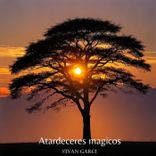 Artwork for "Atardeceres Magicos"