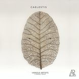 Artwork voor "Caelestis"