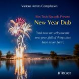 Artwork for "New Year Dub"